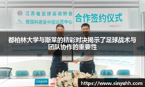 中欧体育