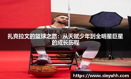 中欧体育